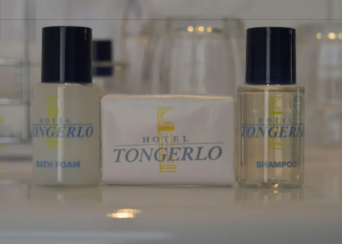 Tongerlo Hotel 3*