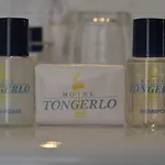 Tongerlo ホテル 3*