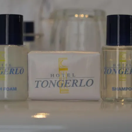 Tongerlo Otel 3*